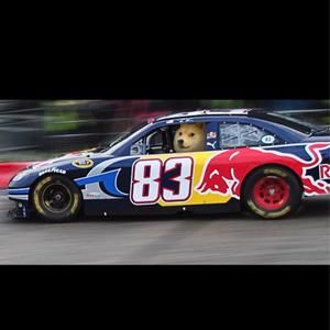 Meet your Posher, Carrie